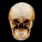 Dental Panoramic Radiology is an interactive application designed to teach panoramic anatomy