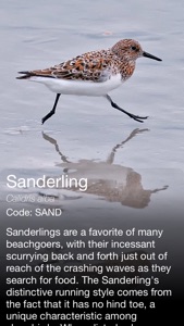 Daily Bird - the beautiful bird a day calendar app screenshot #2 for iPhone