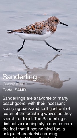 Daily Bird - the beautiful bird a day calendar appのおすすめ画像2