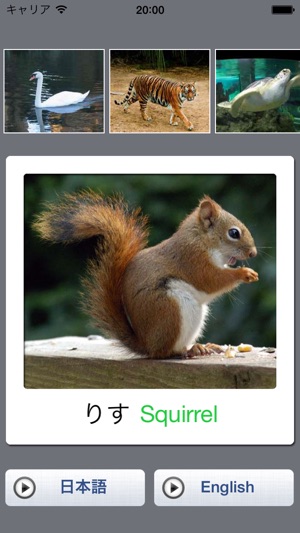 Baby Flash Cards Free - Animals in Japan