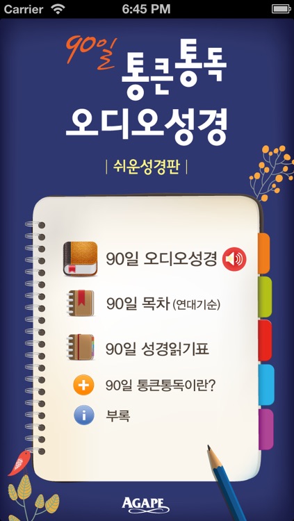 90일 통큰통독 오디오성경(쉬운성경판)