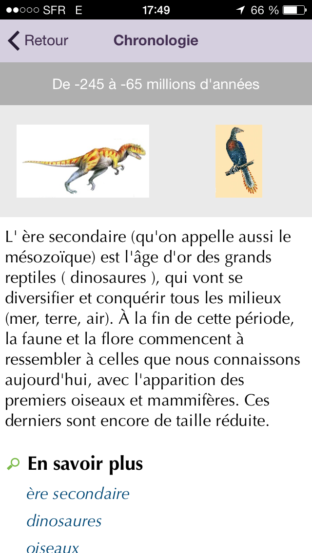 Dictionnaire Junior L... screenshot1