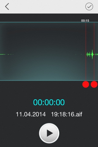 vRecorder PRO - Voice Record & Edit screenshot 2