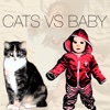 Cats vs Baby