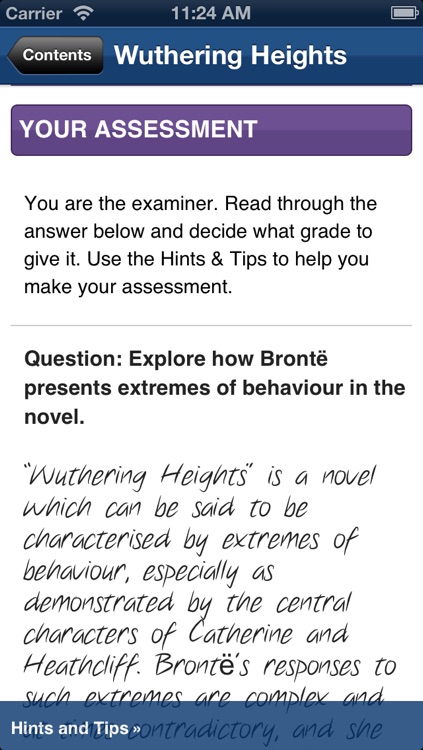 Wuthering Heights York Notes AS and A2 screenshot-3