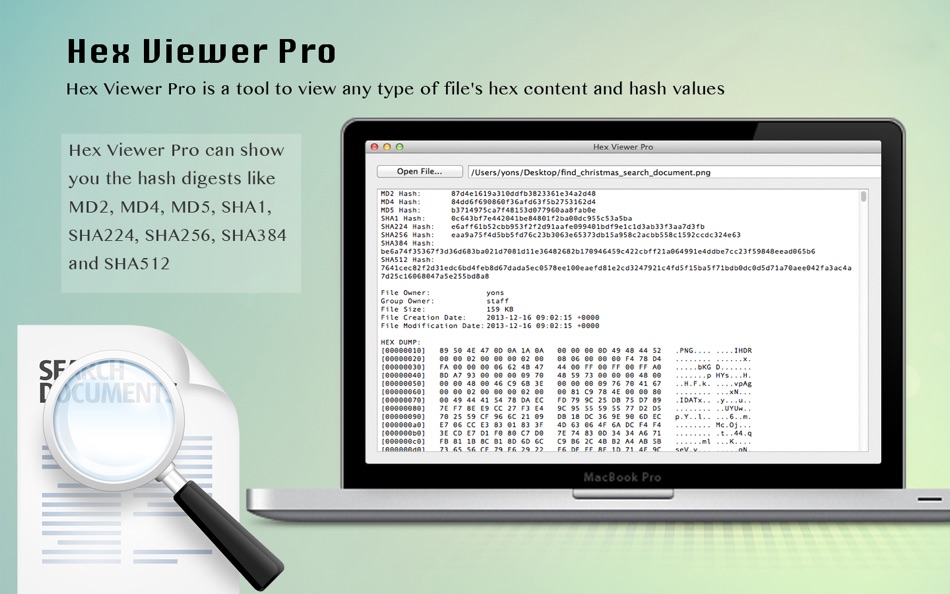 Hex Viewer Pro - 1.3.1 - (macOS)