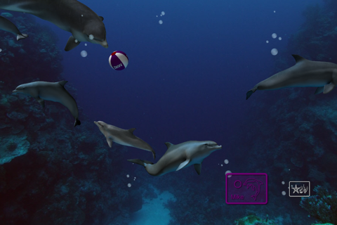 EON Dolphin Delights screenshot 4