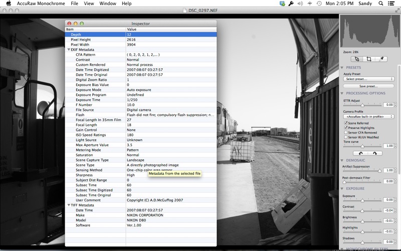 Screenshot #2 pour AccuRaw Monochrome