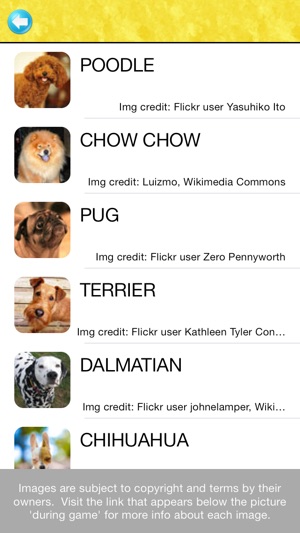 Guess The Puppy Pic(圖5)-速報App