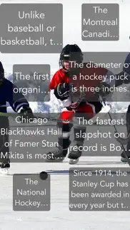 hockey trivia app problems & solutions and troubleshooting guide - 1