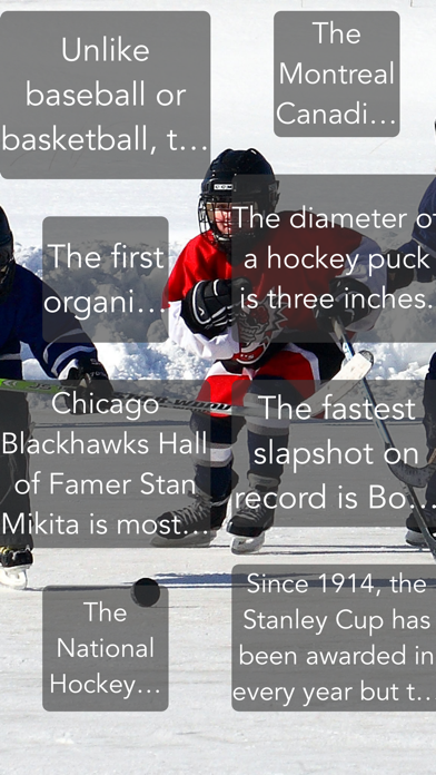 Screenshot #1 pour Hockey Trivia App