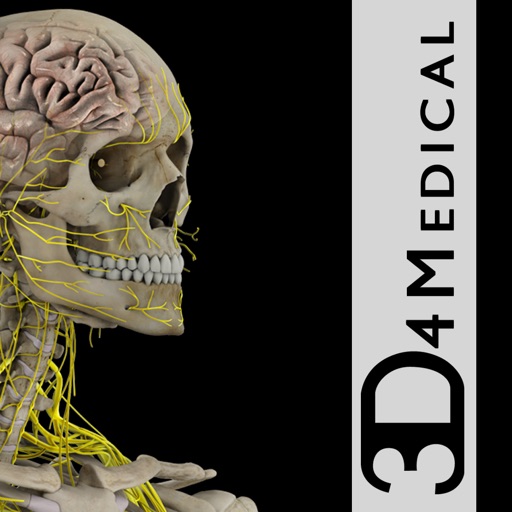 Brain and Nervous System Pro III