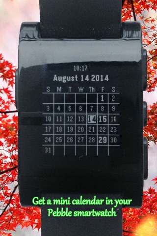 Calendar for Pebble Smartwatch screenshot 2