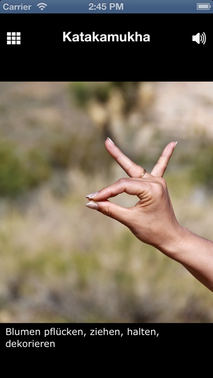 Dancing Mudras screenshot-3