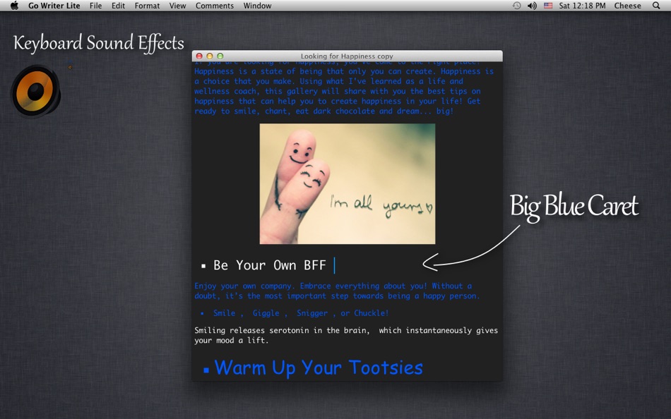 #4. Go Writer Lite (macOS) 由: Hong Chen