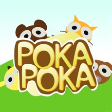 Activities of Poka Poka