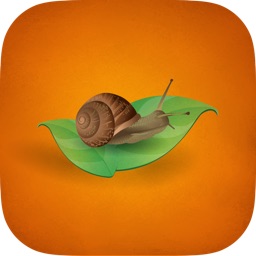 Slow Food. Tour Aragón