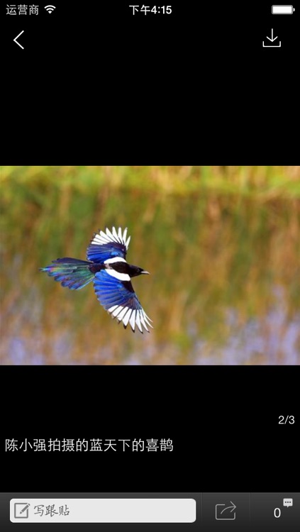 随州新闻 screenshot-4