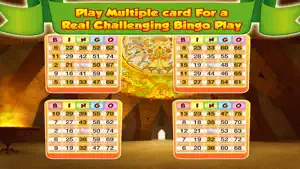 Bingo Master Deluxe Casino - HD Free screenshot #1 for iPhone