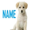 Puppy Names (Male)