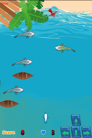 Dolphin Swim Safe Ocean Adventure screenshot 2