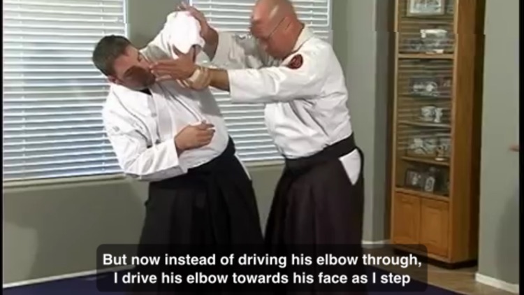 Aikido Master Class screenshot-3