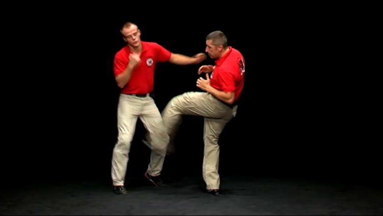 Krav Maga Lesson Vol. 3 - Defense on seizures