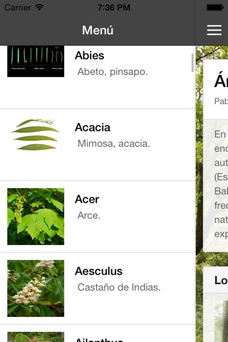 Arboles Ibericos screenshot 2