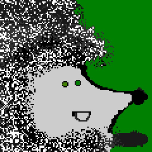 Heads Up Hedgehog Workout Run Icon