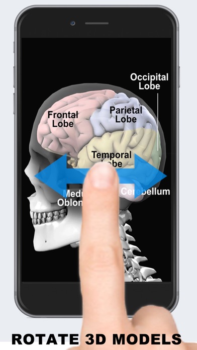 Anatomy 3D - Organs screenshot1