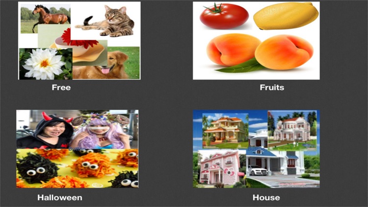 8 Picture jigsaw PuzzleGame - 6 Cognitive Slider brain teasers & 4 shuffle pack puzzle game