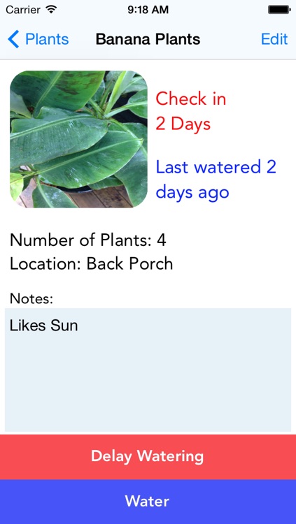 Water Your Plants!