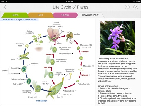 Focus on Plant screenshot 3