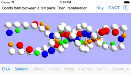 Game screenshot OnScreen DNA Model for iPhone apk