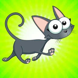 Barzellette sui gatti - Funny Jokes about Cats