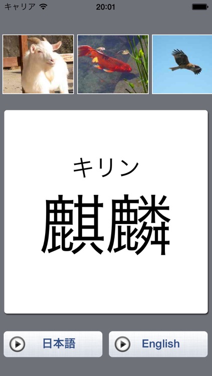 Baby Flash Cards Free - Animals in Japanese and English