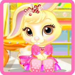 Princess Pet Salon Game