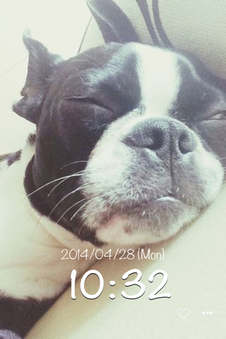 dog clock - clock for dog lovers - screenshot 3