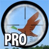 Duck Hunt Pro - A Cool Adventure Season Hunter Shoot-ing Game