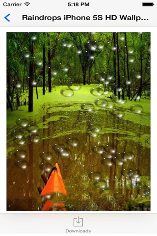 RainDrops HD Wallpaper for iPhone screenshot 3