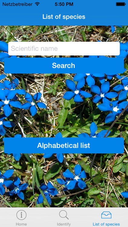 An interactive flora of the Southern Carnic Alps (Ampezzo-Sauris, NE Italy)