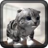 Cat Simulator 3D - iPhoneアプリ