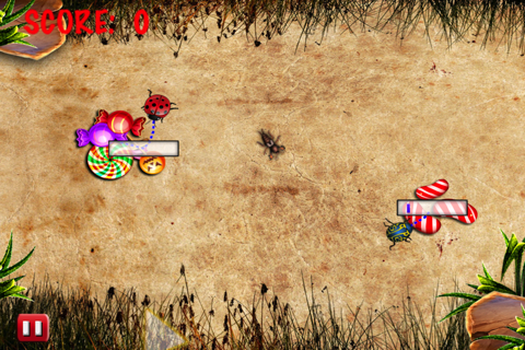 Bug Candies Quest Village screenshot 2