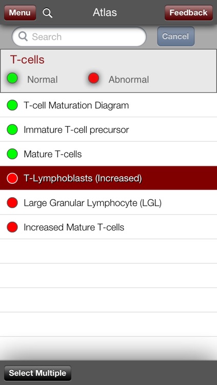 Hematology Outlines: HH Rashidi MD & JC Nguyen MD screenshot-3