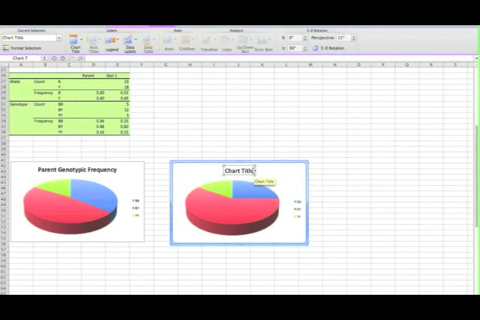 AP Biology Hardy-Weinberg Spreadsheet Tutorial screenshot 4