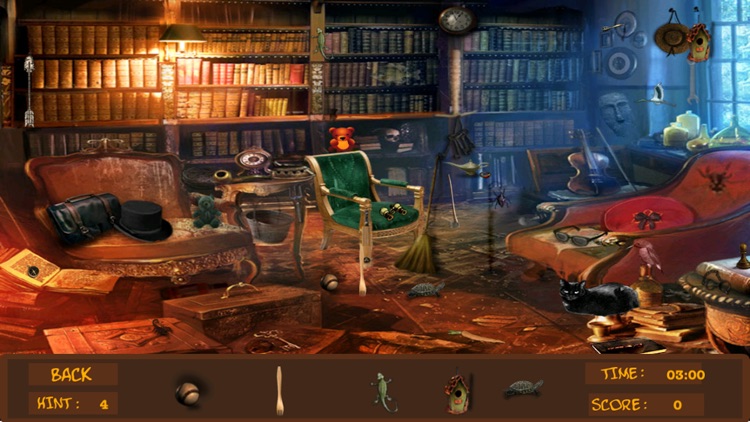 Detective Sara's Hidden Objects