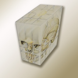 Anatomy For GSSE for iPhone