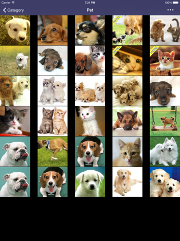 Screenshot #6 pour Top secret album - Tapper