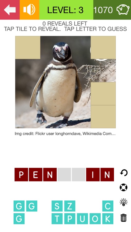 What's The Animal Name (100 Puzzles)
