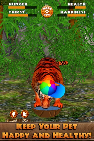 Virtual Pet Tiger screenshot 4